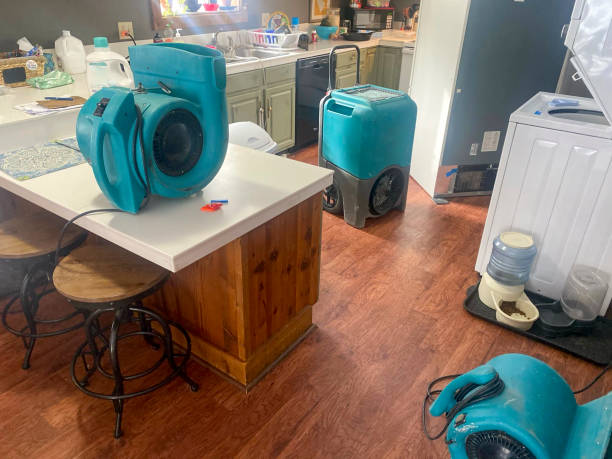 Best Water damage restoration near me  in East Prairie, MO