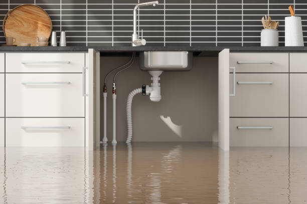 Best Mold removal after water damage  in East Prairie, MO