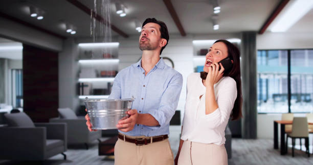 Best Ceiling water damage repair  in East Prairie, MO