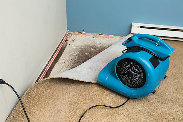 Best Emergency water damage restoration  in East Prairie, MO